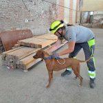 453969976_10225792873995928_6494456136415958946_n