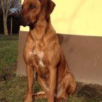 465181479_10226776936316871_1462238144469576128_n