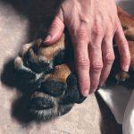 Az utolsó perceink együtt :(