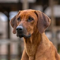 395450087_10224325884442106_5725924351620967721_nmayafej