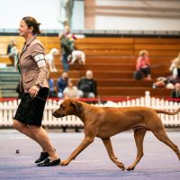 506831720_10229211897309374_1011067291091184362_n