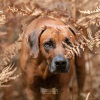 507993937_10229211893829287_4893171977415263194_n