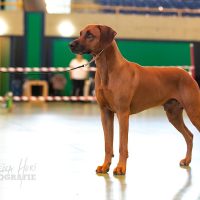 508004694_10229211897469378_1743657179007492293_n