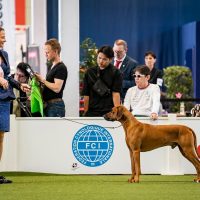 508006426_10229211899309424_1312051176361394455_n