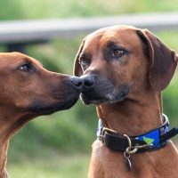 508112726_10229211893869288_7444386129075352308_n