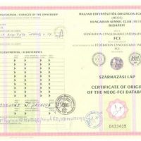 x_Certificate of origin 1
