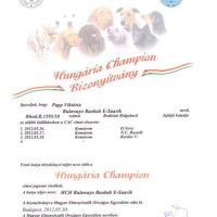 x_Hungarian Champion